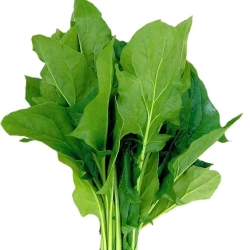 Spinach