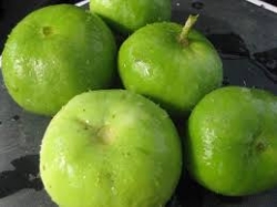 Tinda