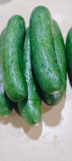 Cucumber Green