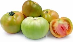 Tomato - Green
