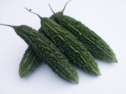 Chinese Bitter Gourd