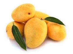 Mango (Badami)