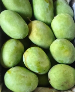 Mango (Hapus)