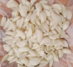 Peeled Garlic
