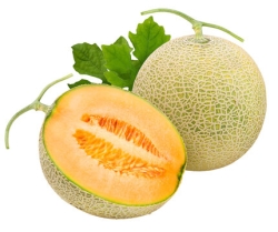 Muskmelon
