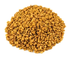 Organic Methi Dana