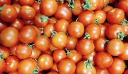 Chilli Green (Organic)