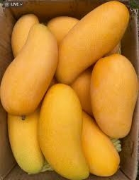 Kesar Mango(golden)