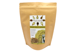 Jowar Millet Noodles