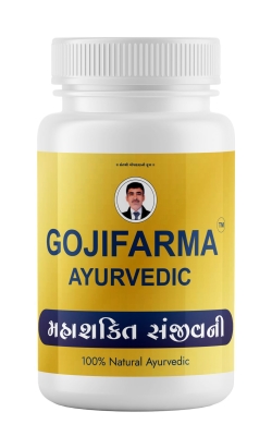 Activated Fiber - 90 Tablets