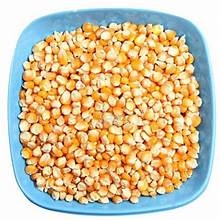 Chana Daal Loose